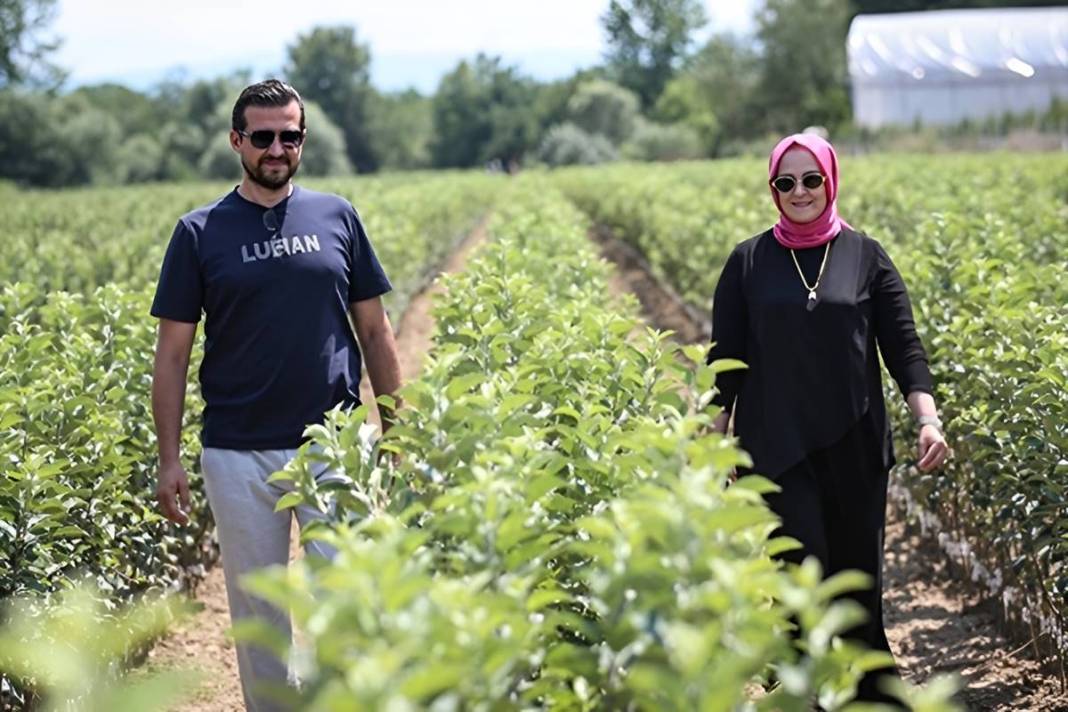 Yılda bir milyon meyve fidanı üretip ihraç ediyorlar: Elektrik bedava! Öyle bir sistem kurmuşlar ki paraya para demiyorlar 1